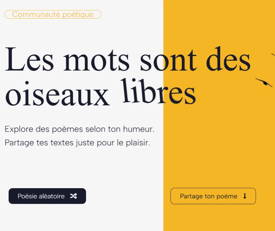 écran d'accueil du site l'oiseau pas sage